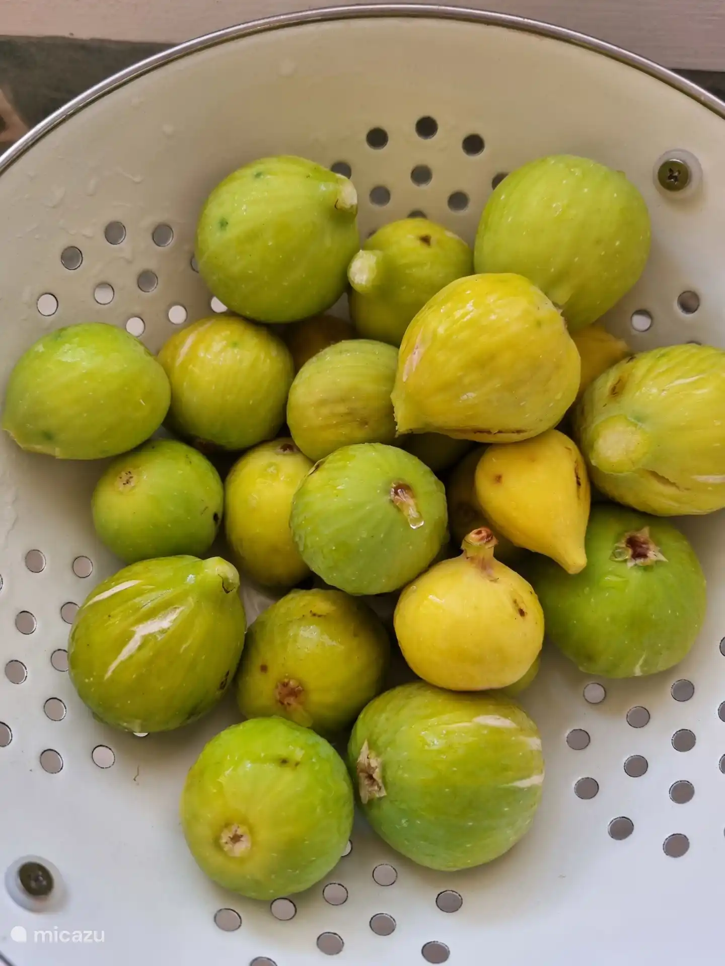 Uit eigen tuin: het hele jaar door citroenen en eind juli-begin augustus groene vijgen