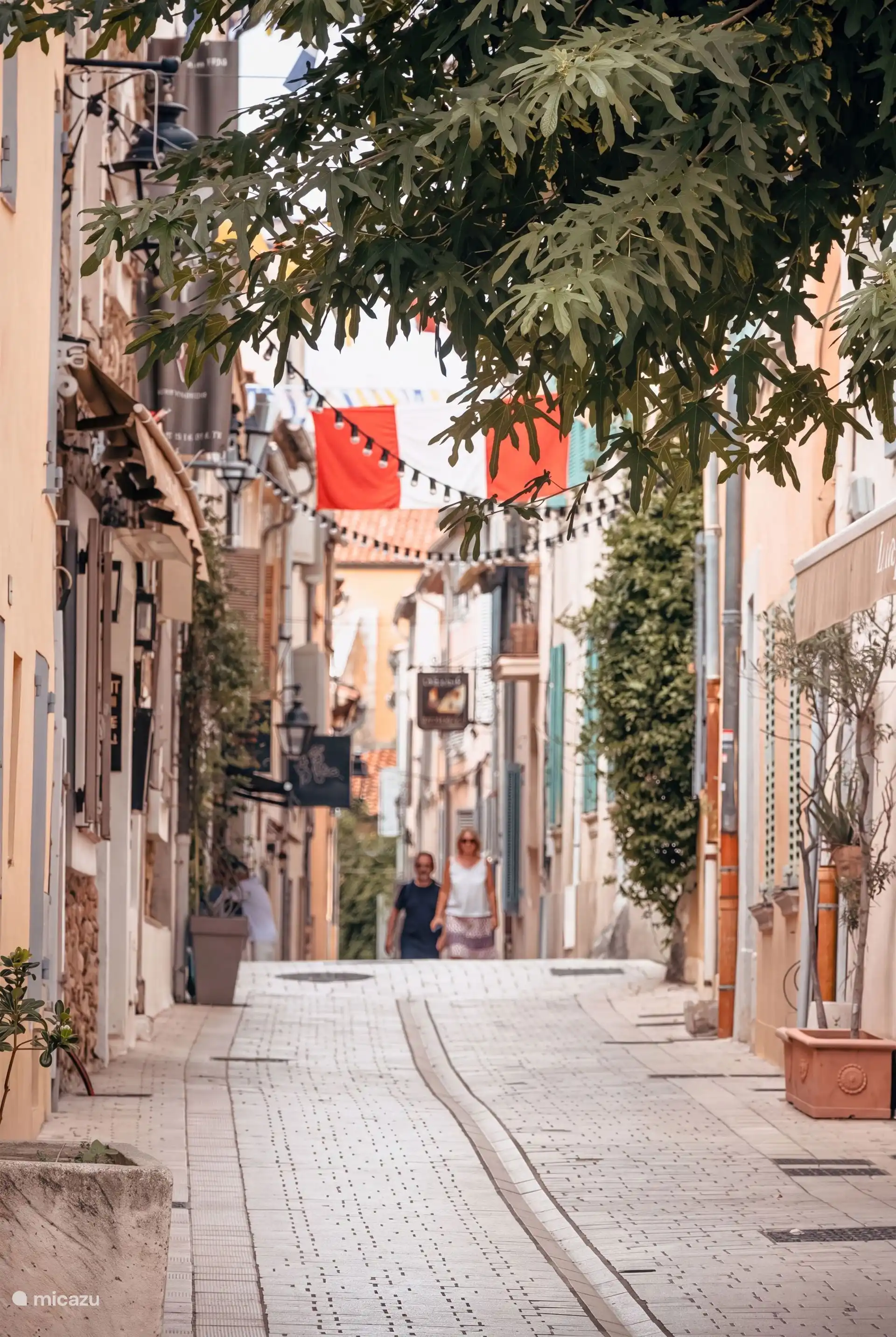 Panorama op Saint-Tropezbaai huren in Frankrijk, Côte d'Azur, Cogolin - Vakantiehuis