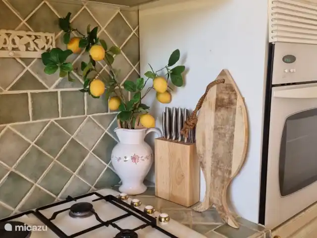 Maison Cocorico vista sin obstáculos en Francia, Costa Azul, Cogolin - casa vacacional limones frescos del jardín