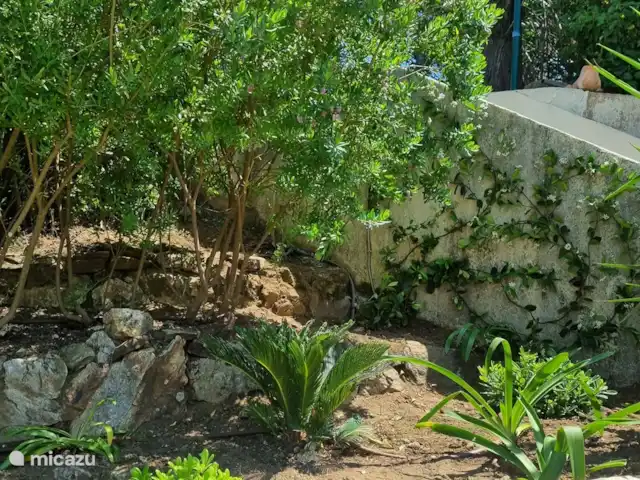 Maison Cocorico vista sin obstáculos en Francia, Costa Azul, Cogolin - casa vacacional jardín en el lado sur cerca de las escaleras a la entrada