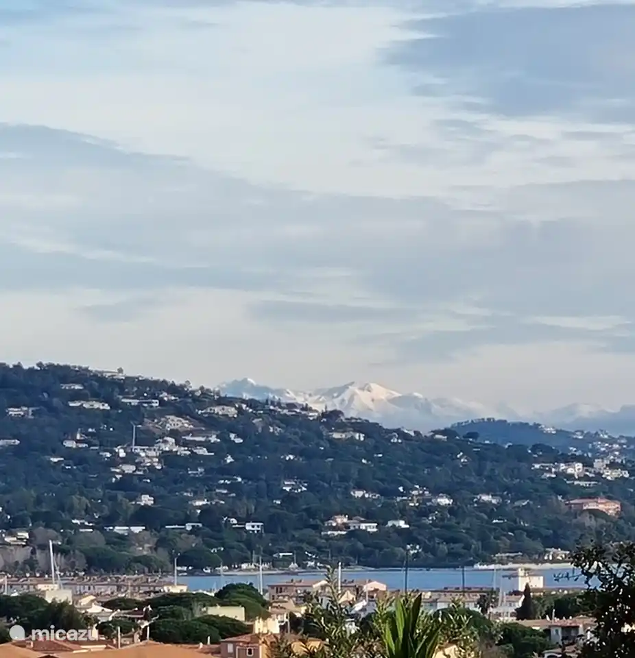 Blick auf die schneebedeckten Gipfel der Alpen