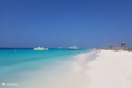 Little Curacao