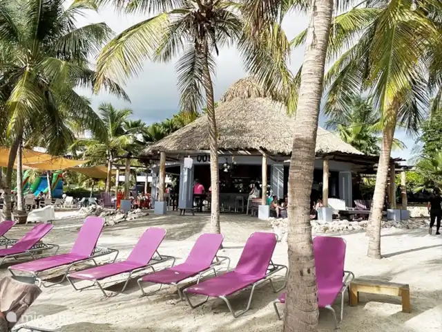The Blue Bay Beachvilla huren in Curaçao, Curacao-Midden, Willemstad - villa The Blue Bay Beachvilla -  Blue Bay Beach strandbedden, Blue Bay Beach beachbeds