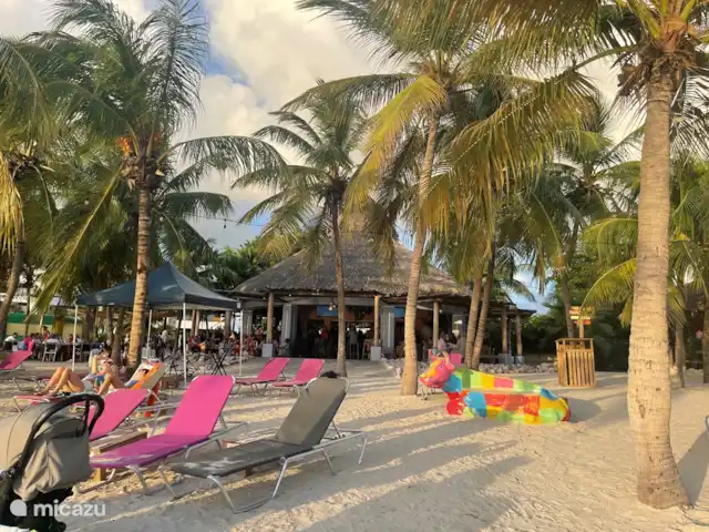 The Blue Bay Beachvilla huren in Curaçao, Curacao-Midden, Willemstad - villa The Blue Bay Beachvilla - strand art