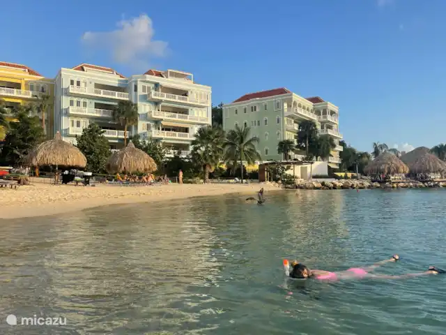 The Blue Bay Beachvilla huren in Curaçao, Curacao-Midden, Willemstad - villa The Blue Bay Beachvilla - snorkelen