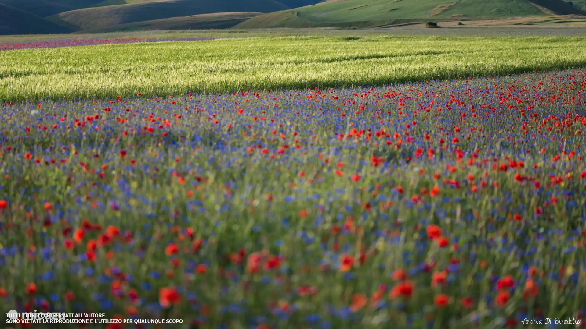 ALTOPIANO CASTELLUCCIO DI NORCIA
