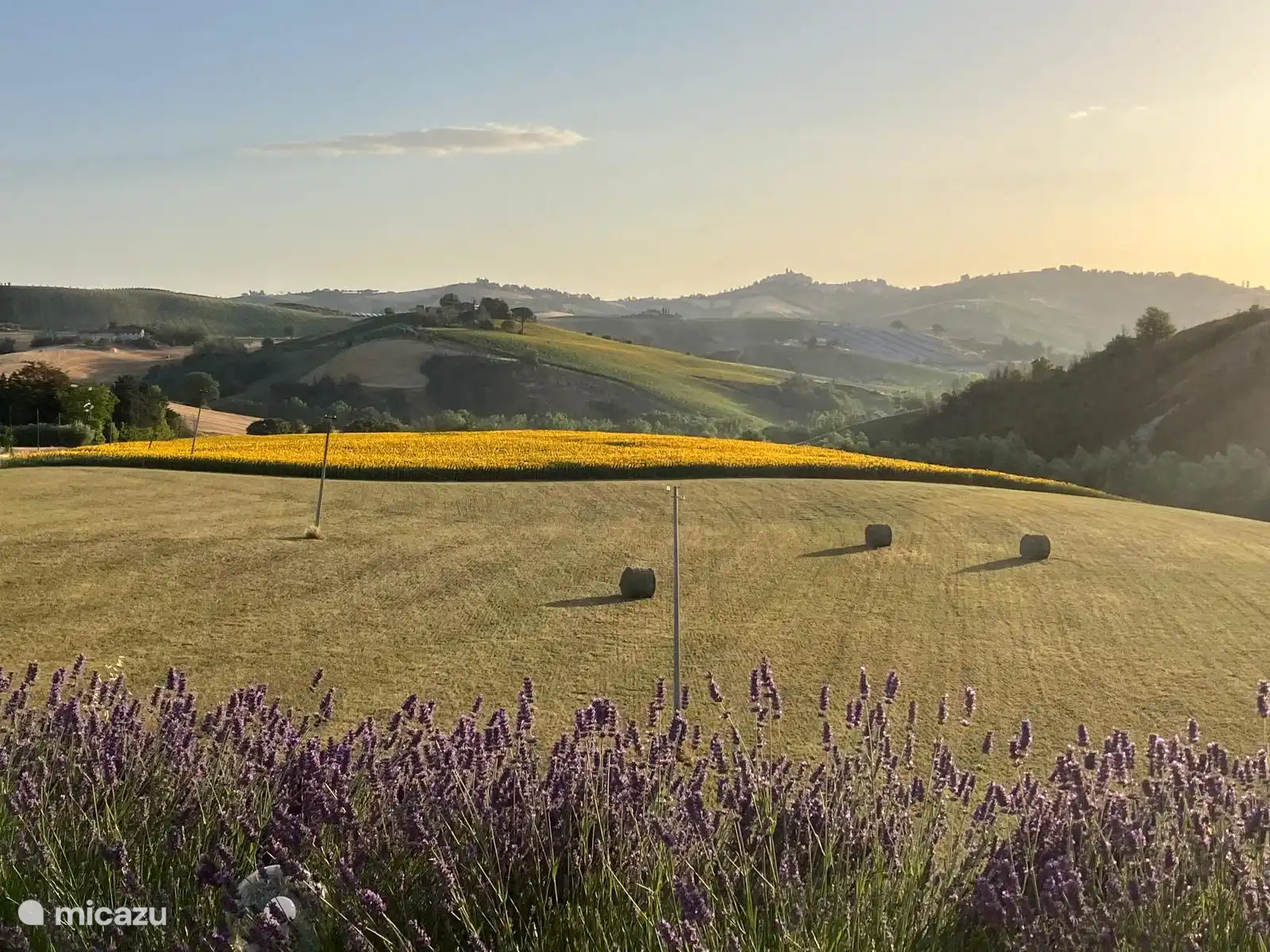 PANORAMA VISTO DALL'AGRITURISMO