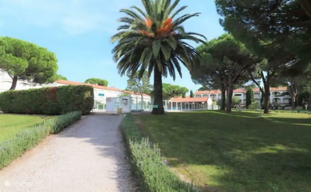 Route à travers le parc jusqu'à la plage et le boulevard