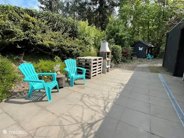 Casa de vacaciones Vlinder con estación de carga en Países Bajos, Güeldres, Lochem - casa vacacional Parilla