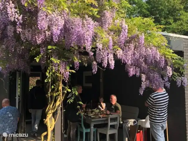 Casa de vacaciones Vlinder con estación de carga en Países Bajos, Güeldres, Lochem - casa vacacional Toldo acogedor