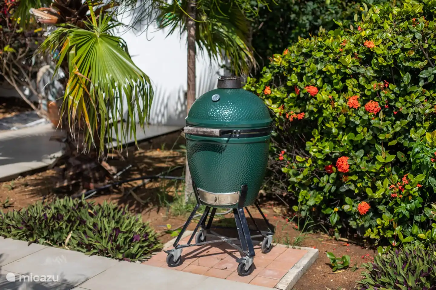 leckeres Barbecue im gemeinsamen Garten