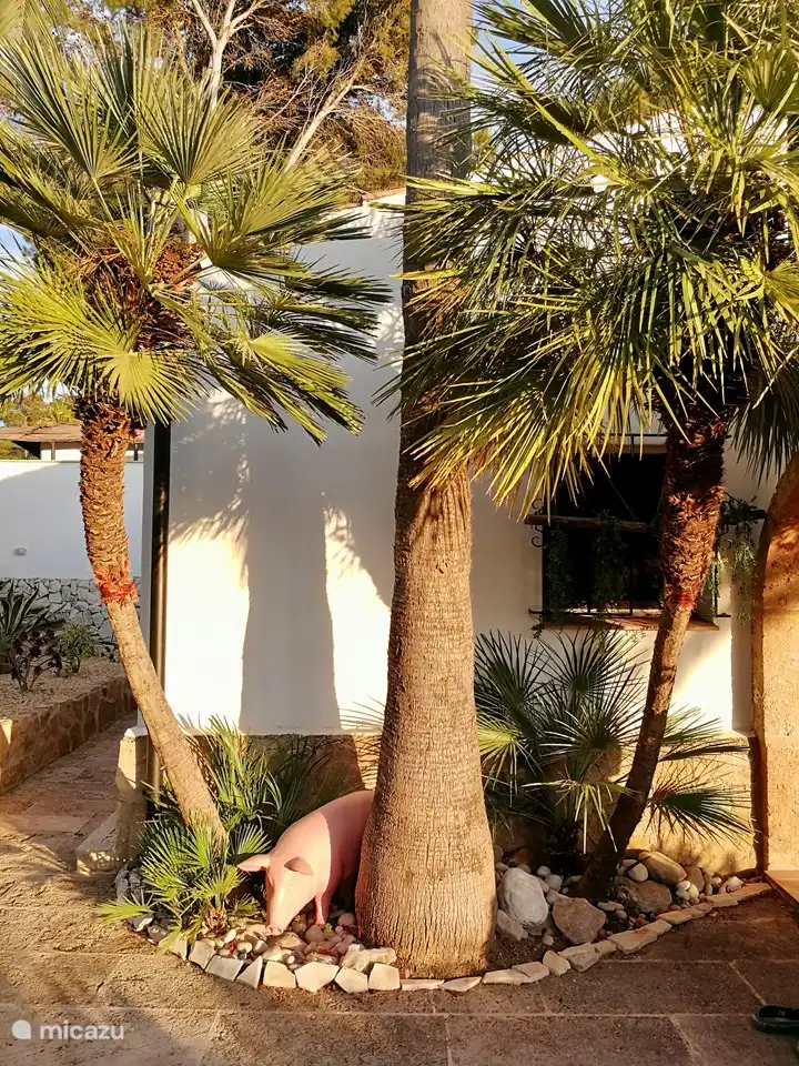 Das Montgo House mit unserem Freund Edgard