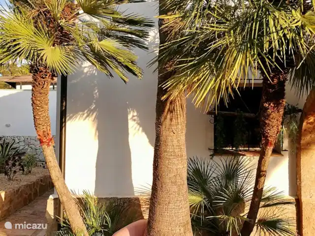 Villa Violeta : famille, plaisir et soleil | Espagne, Costa Blanca, Jávea - maison de vacances La Maison Montgo avec notre ami Edgard