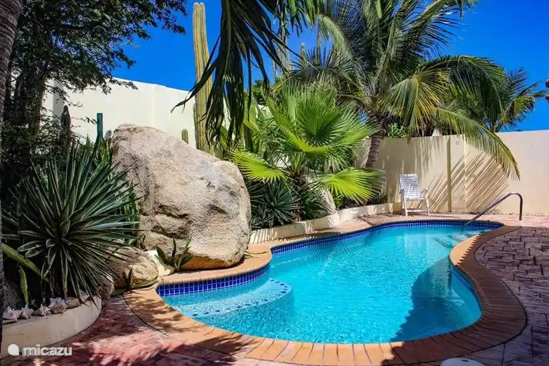 Swimming pool and garden with lighting