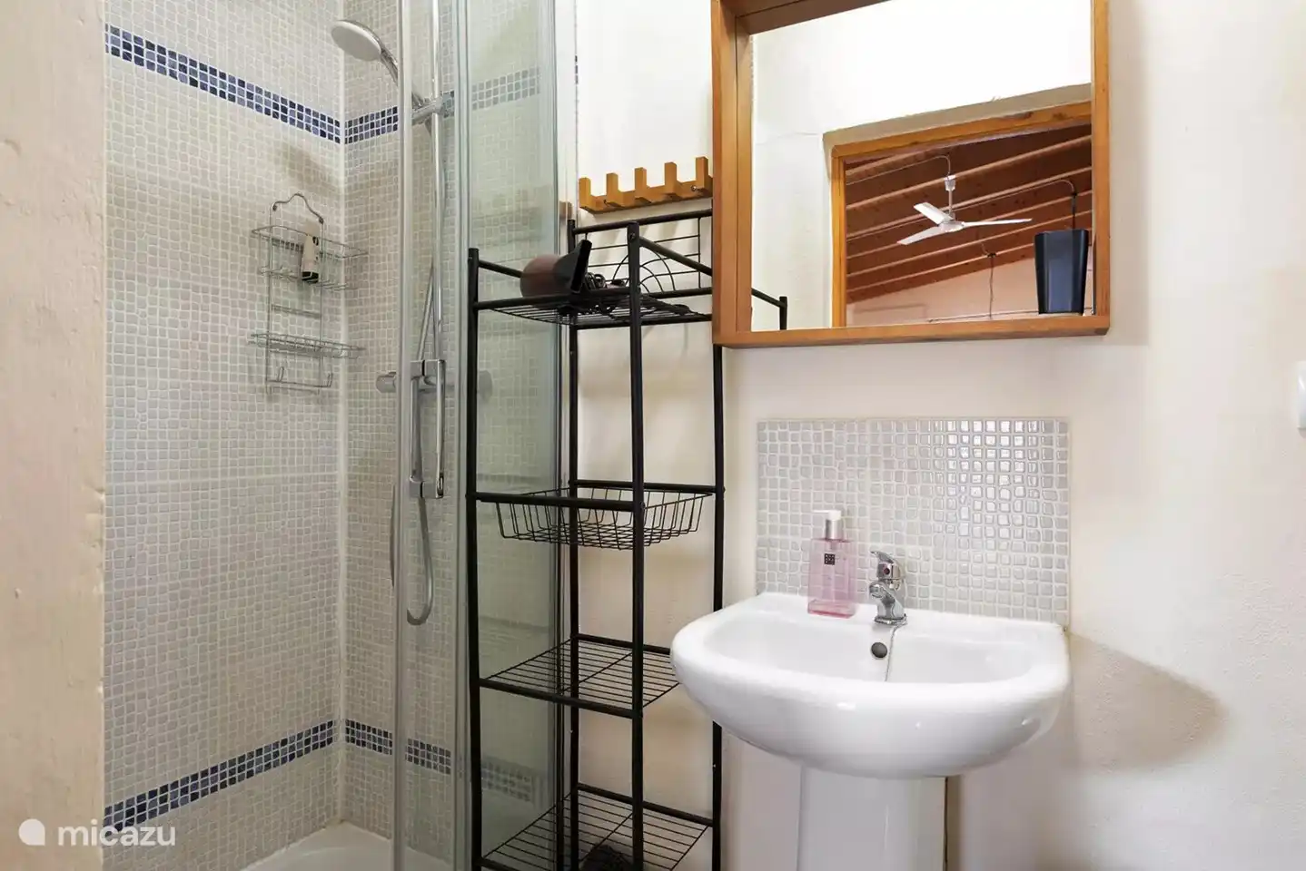 compacte badkamer : douche , lavabo , toilet