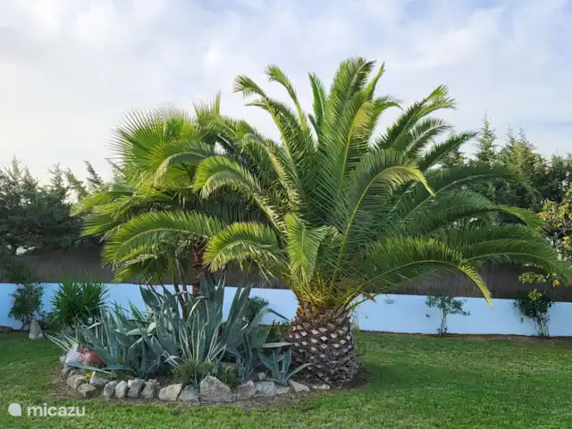 Location de Vacances Espagne, Andalousie, Vejer de la Frontera, finca - Villa La Luna 'La Casita'