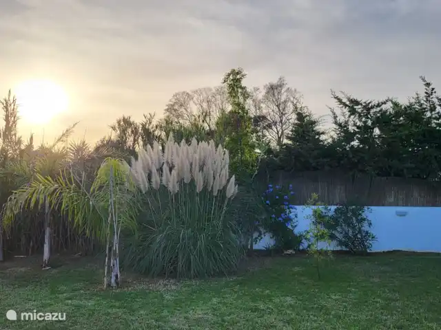 Location de Vacances Espagne, Andalousie, Vejer de la Frontera, finca - Villa La Luna 'La Casita'