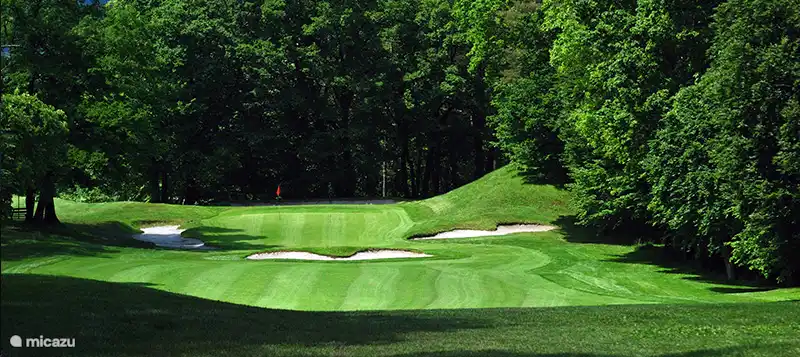 Die ausgereifte Natur des hundert Jahre alten Schlägers macht das Spielen zu einem Abenteuer.