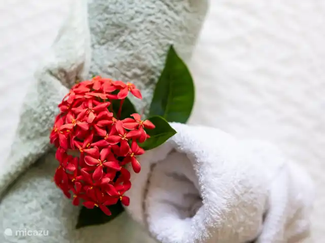 Studio Appartement Volterra | Curaçao, Curaçao-Centre, Mahaai/Damacor - studio Serviettes