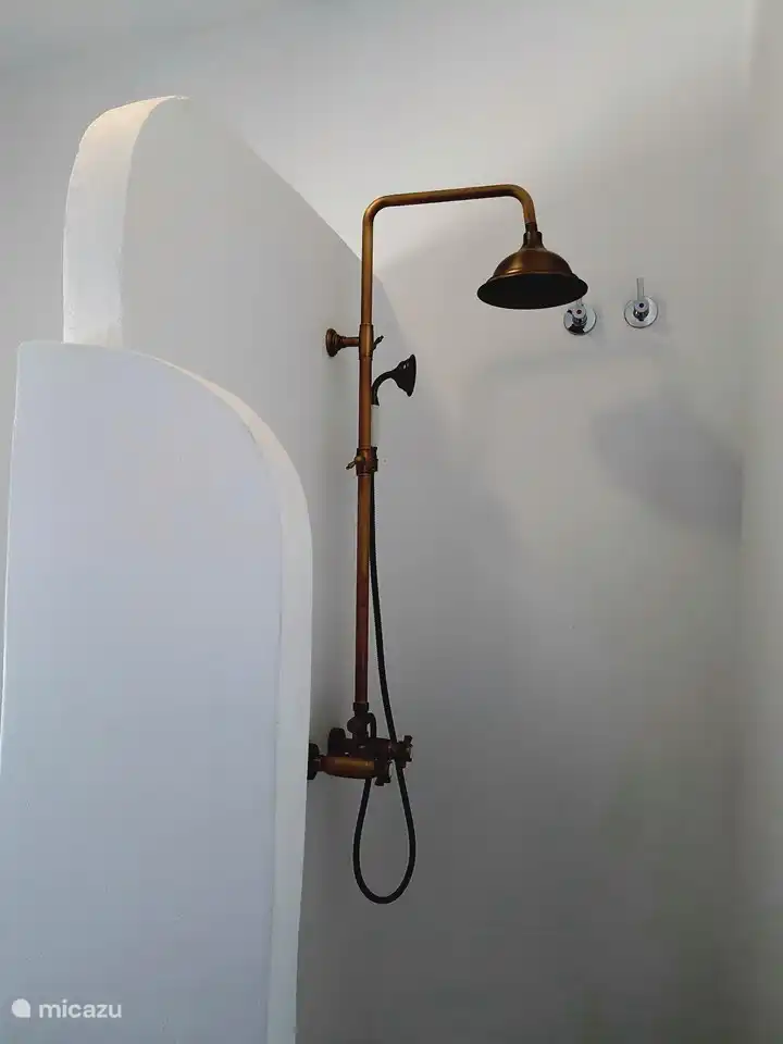 Bathroom with shower, toilet and washbasin