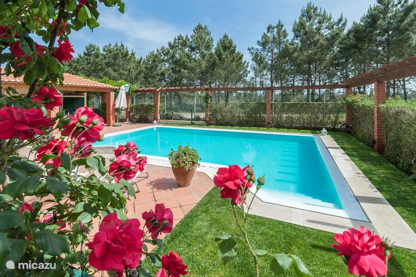 Schwimmbad und Garten