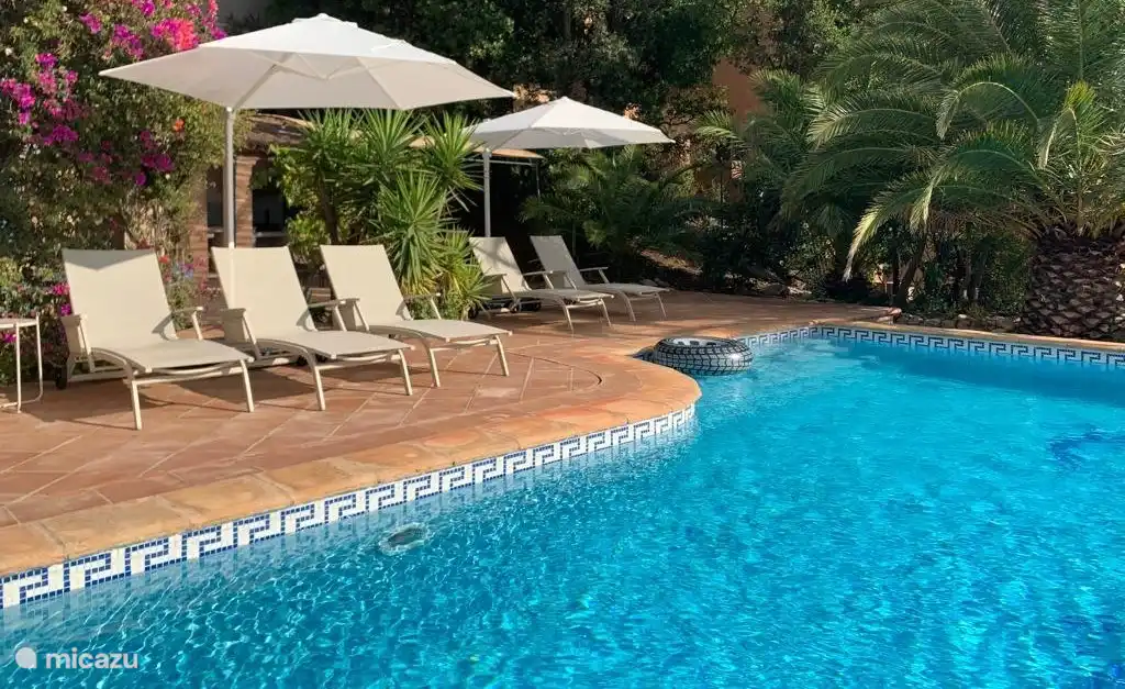Heated swimming pool with sea view and palm trees.