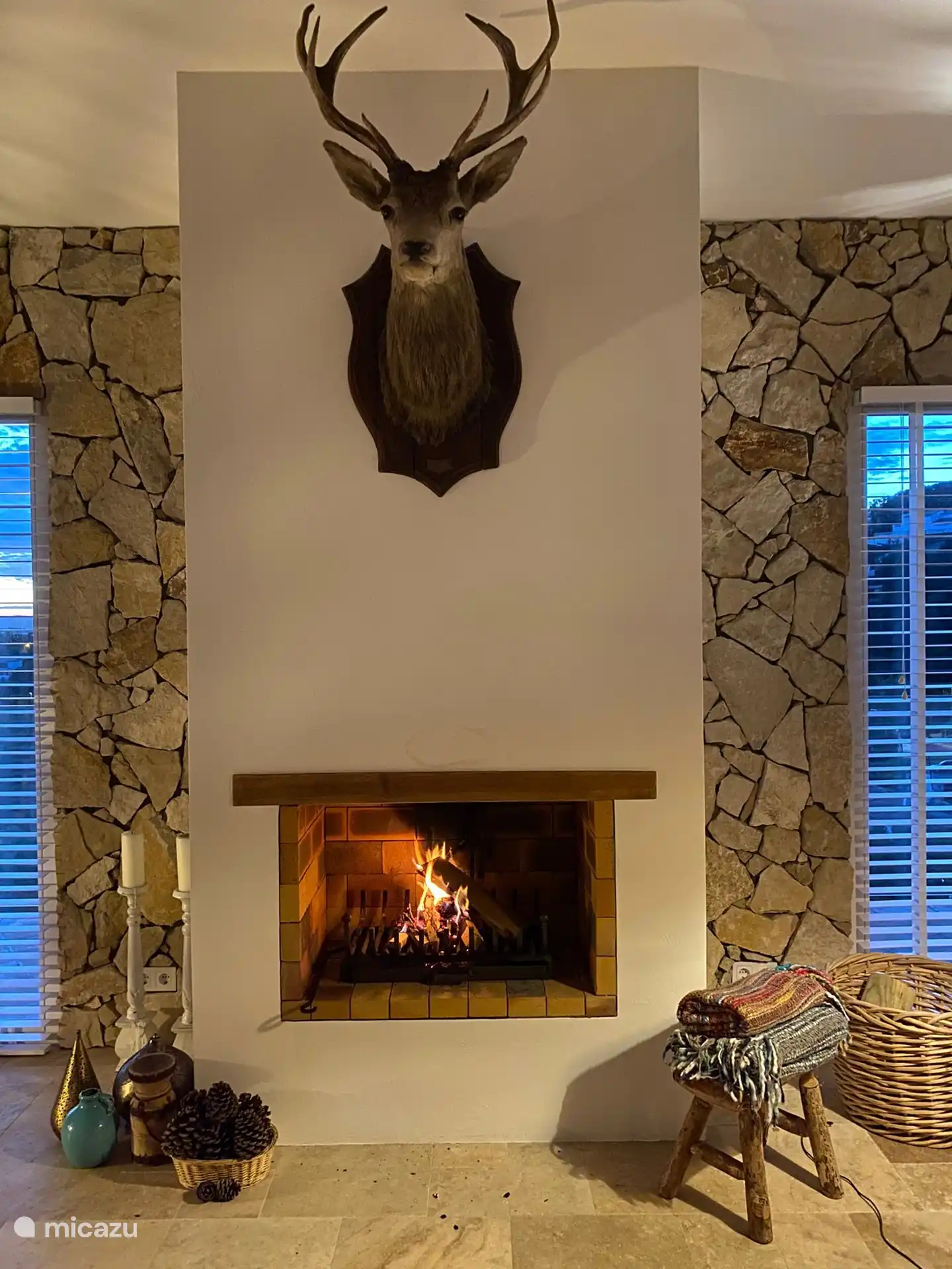 Fireplace with beautiful views through the windows on the left and right.
