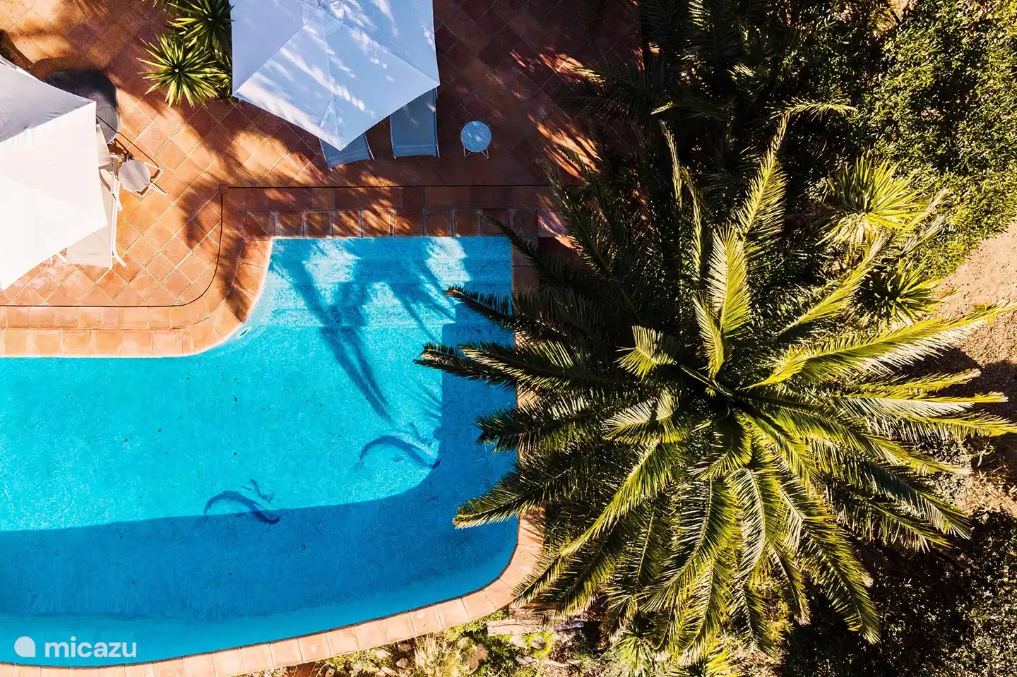 Top view heated swimming pool