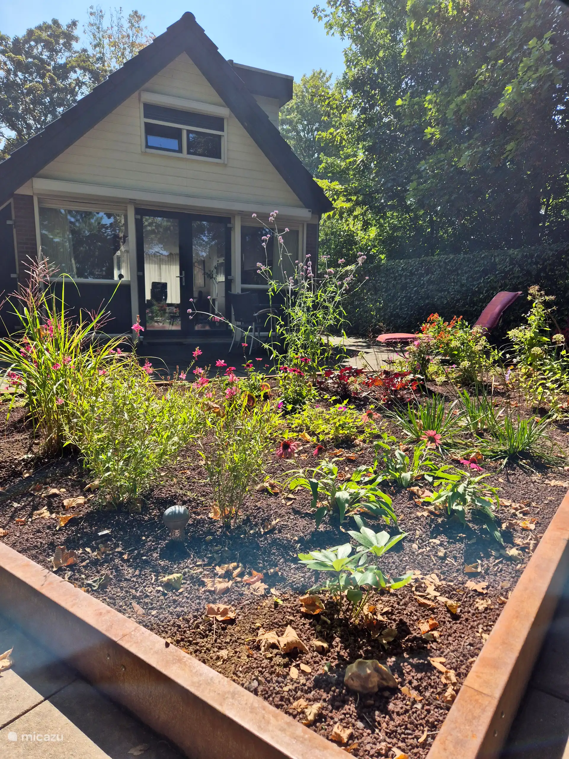 Blumenkasten auf der hinteren Terrasse