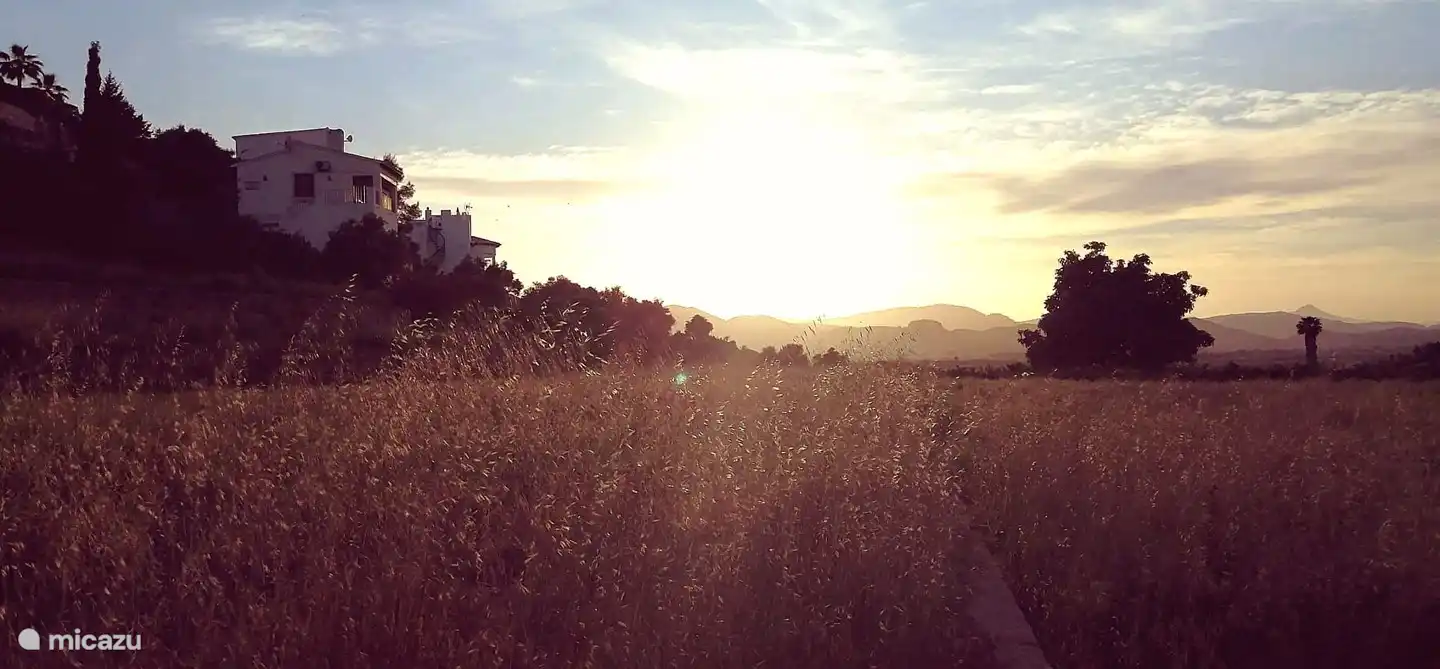 View from the street