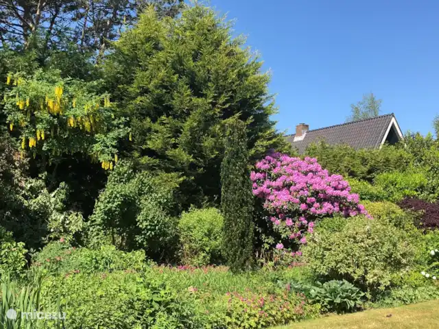 Location de Vacances Pays-Bas, Hollande du Nord, Schoorl, villa - Belle villa individuelle jardin partagé