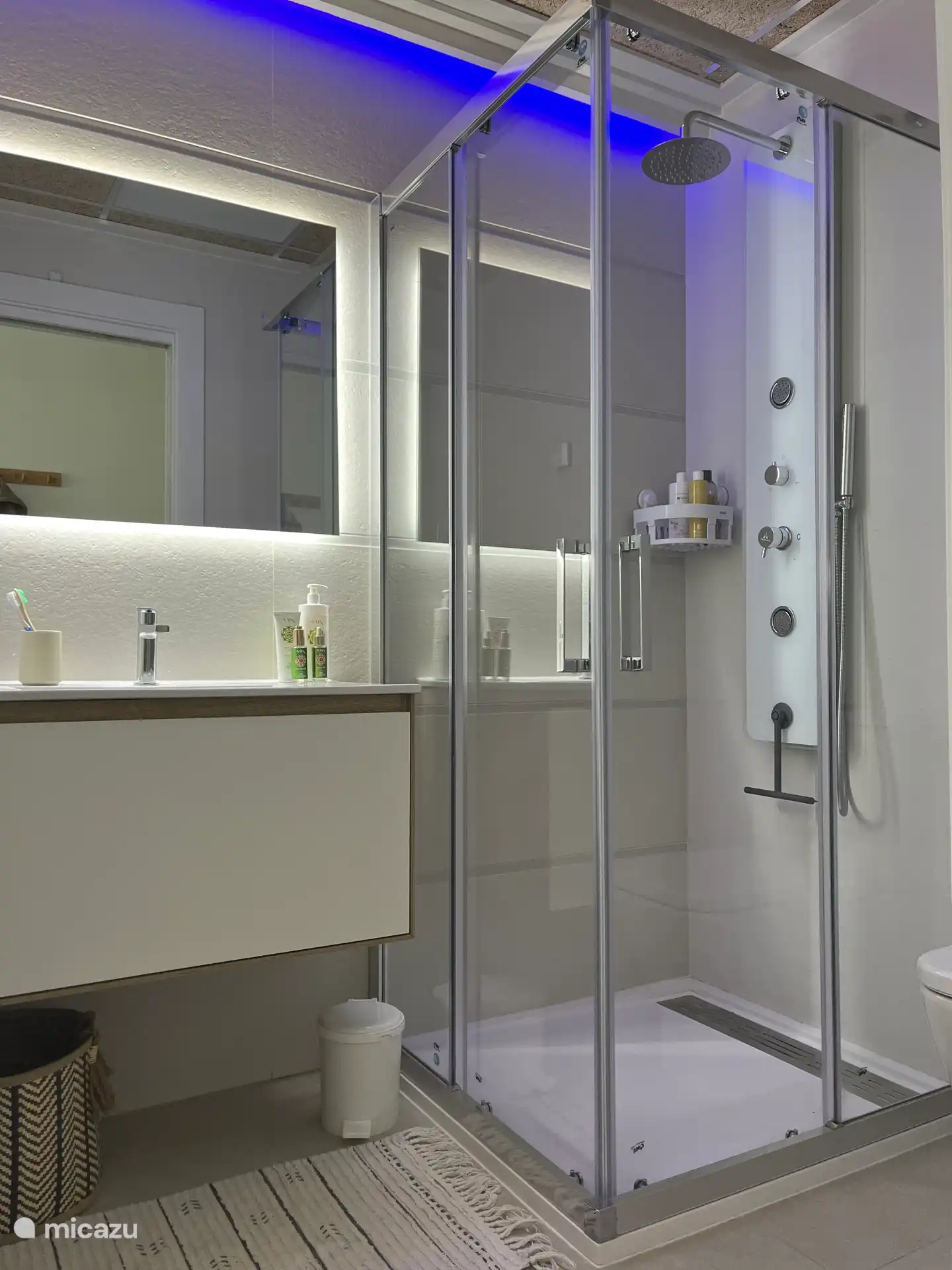 Ensuite bathroom master bedroom 