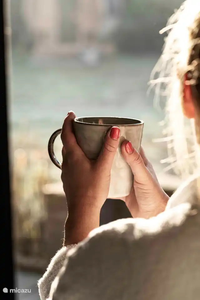 Wachen Sie mit Blick auf den riesigen Garten mit vielen Vögeln auf.