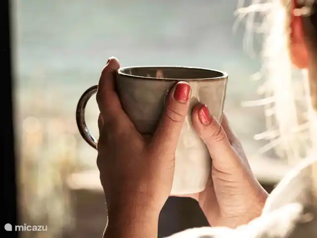 CASA MIRO -jacuzzi -sauna -tinyhouse en Países Bajos, Güeldres, Nijkerk - casa vacacional Despiértese con una vista del gigantesco jardín con muchos pájaros.