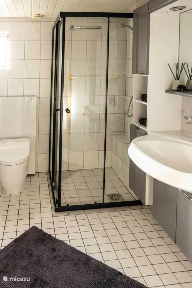 Das Badezimmer mit Dusche, WC und geräumigem Waschtisch.