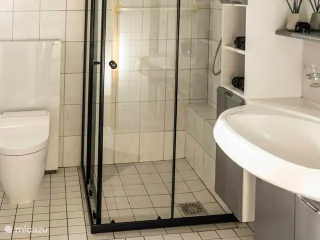 CASA MIRO -jacuzzi -sauna -tinyhouse en Países Bajos, Güeldres, Nijkerk - casa vacacional El cuarto de baño con ducha, inodoro y tocador espacioso.