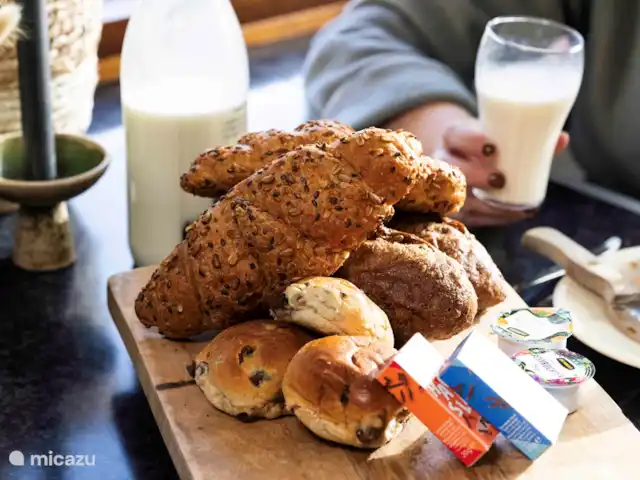 CASA MIRO -jacuzzi -sauna -tinyhouse en Países Bajos, Güeldres, Nijkerk - casa vacacional ¡Buen día!