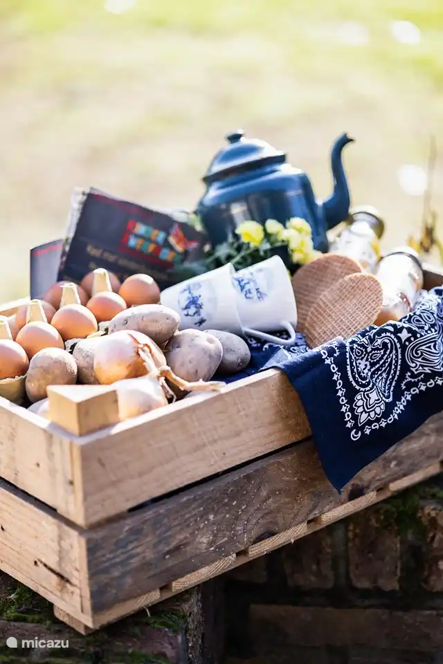 Für frische Eier, saisonale Produkte und Eis gehen Sie zu unserem Nachbarn: Hoeve Oud Meerveld.