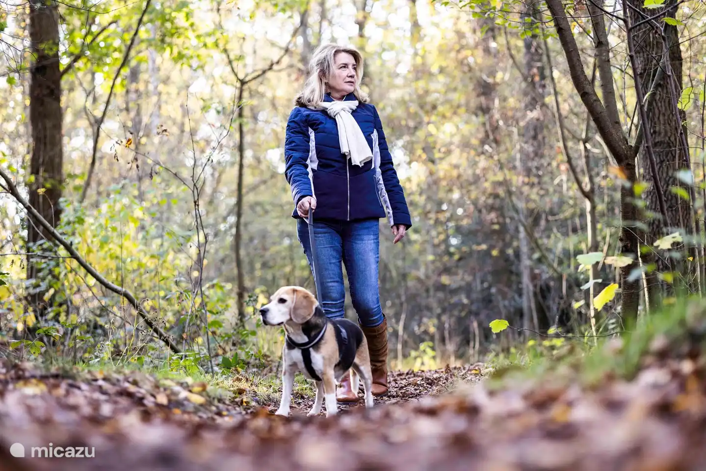 Hunde sind im Casa Miro herzlich willkommen. In der Nähe gibt es mehrere Auslaufzonen.