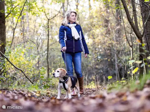 CASA MIRO -jacuzzi -sauna -tinyhouse en Países Bajos, Güeldres, Nijkerk - casa vacacional Los perros son bienvenidos en Casa Miro. Hay varias áreas sin correa cerca.