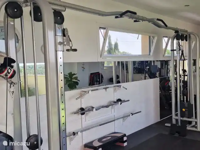 Location de Vacances Espagne, Barcelone, Canyelles, appartement - Villa Contenta Canyelles Station de multi-fitness professionnelle, diverses barres, sac de frappe, step