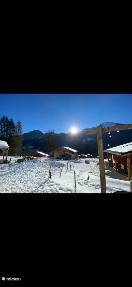 view apartment and our garden