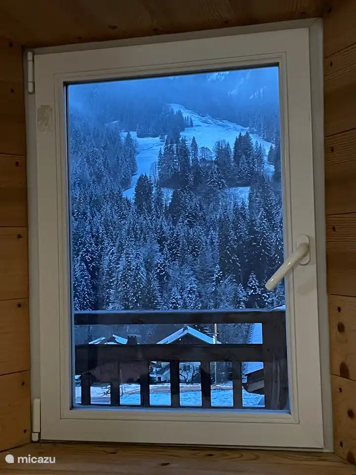 view from one of the bedrooms