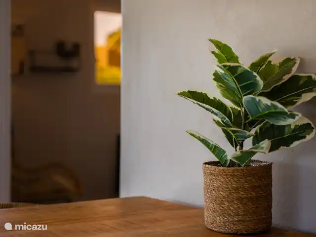 Apartamento Iguana - 4 personas en Curazao, Banda Arriba (este), Jan Thiel - apartamento porche