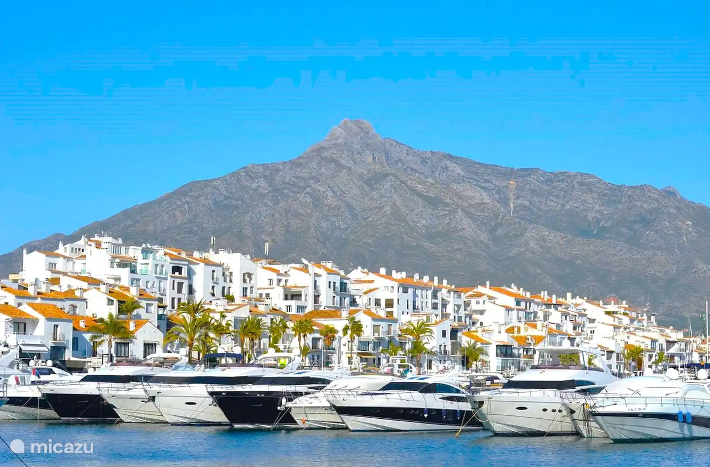 Hafen von Puerto Banus