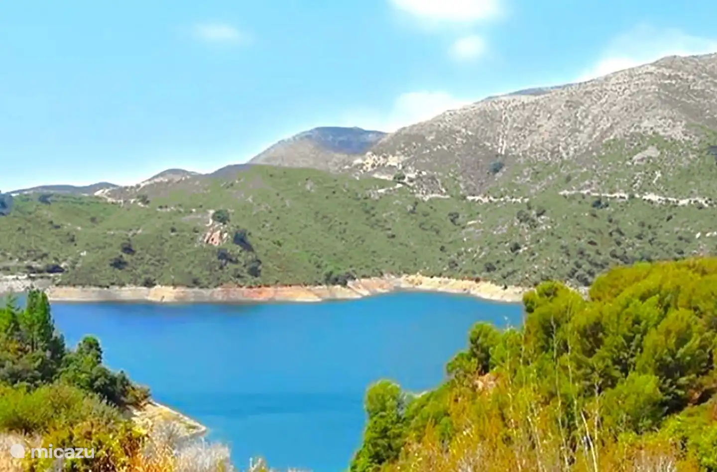 Blick aus dem Garten