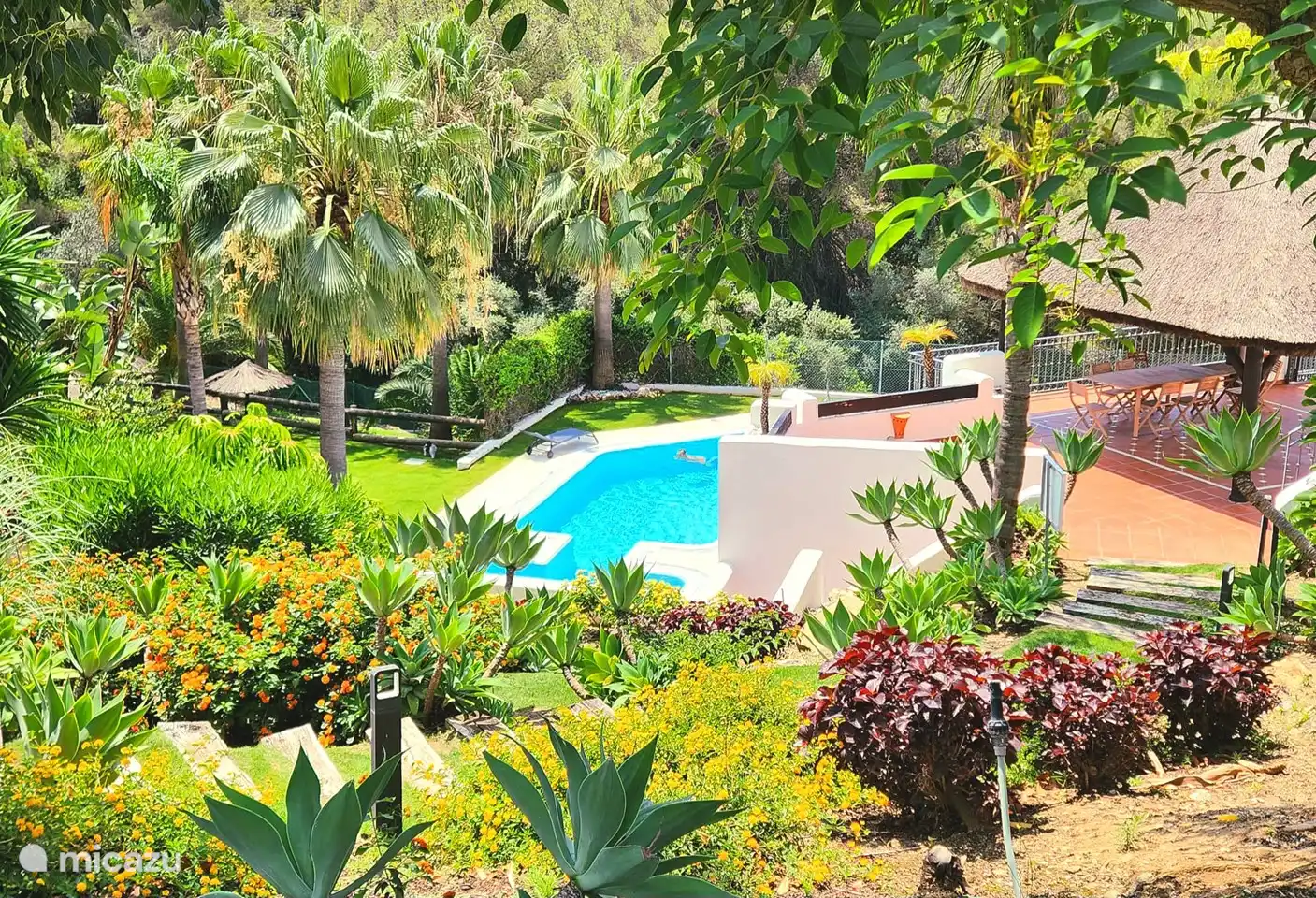 Üppiger Gemeinschaftsgarten