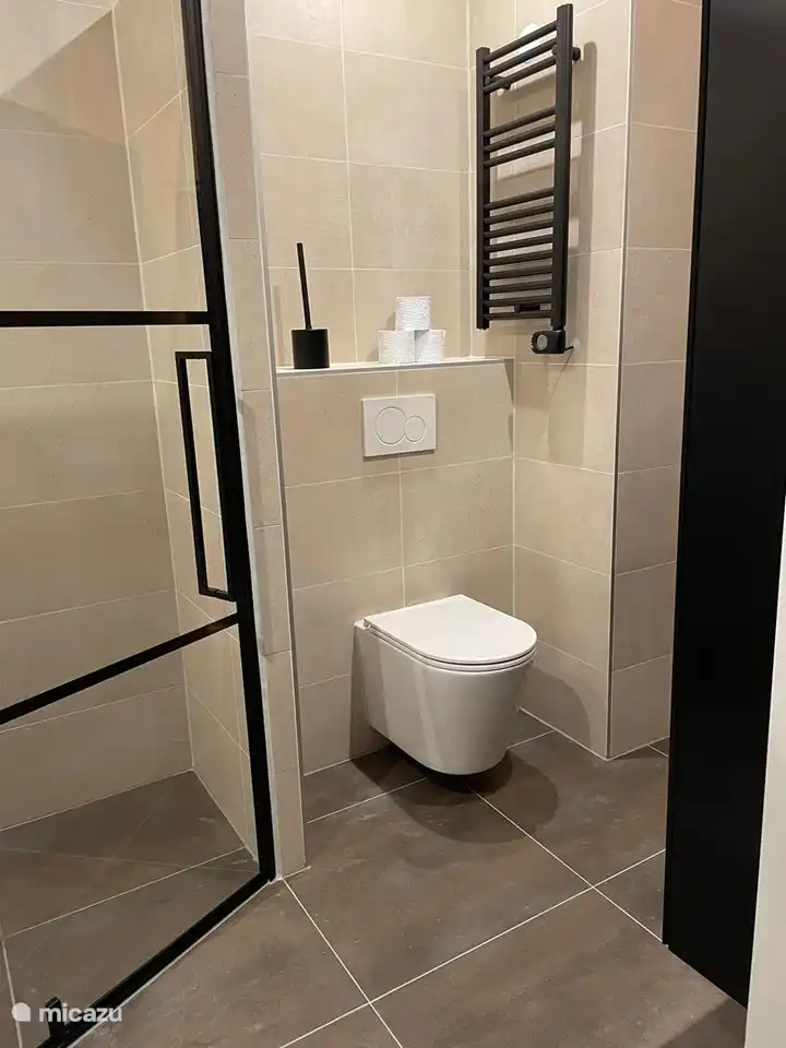 Badkamer en douche van Vakantiehuis in Kamperland (Zeeland, Nederland)
