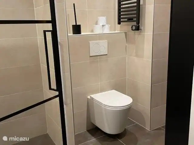 Location de Vacances Pays-Bas, Zélande, Kamperland, maison de vacances - Maison de vacances de luxe près de la plage Salle de bain et douche de la maison de vacances à Kamperland (Zélande, Pays-Bas)