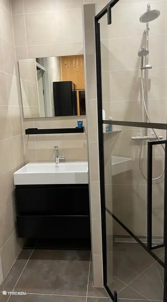 Badkamer en douche van Vakantiehuis in Kamperland (Zeeland, Nederland)